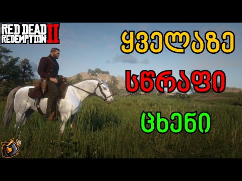 ყველაზე სწრაფი ცხენი / Red Dead Redemption 2